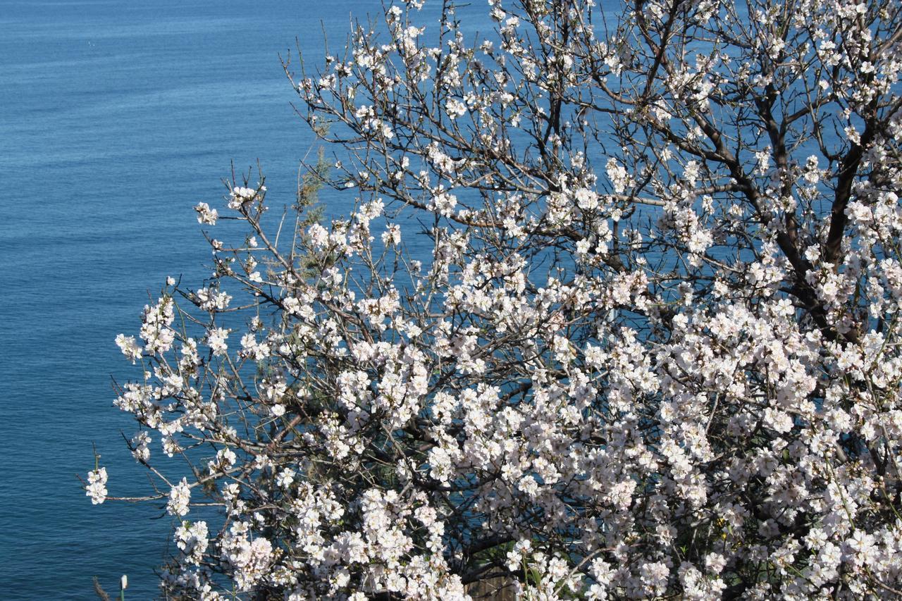Camere & Case Vacanze Lo Scoglio Castel di Tusa Kültér fotó